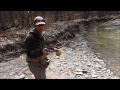 Father & Son Spring Steelhead Fishing