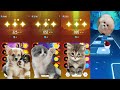 Cute Cat Lady Gaga Bloody Mary and Wednesday vs Waka Waka Cute Cat and Shakira in Tiles Hop Edm RUSH