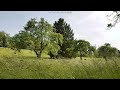 Natural white sound, relaxing nature sounds: wind through grass, birds, crickets and river sounds