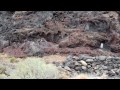 Tenerife/Teneriffa - Teno: El Molledo - Barranco Seco - Playa Seco