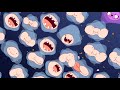 Adventure Time | Food Chain | Cartoon Network