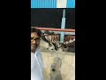 गौशाला में जाकर गायों को गेहूँ का दलिया खिलाते हुए 10 September 2020