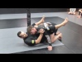 Z Guard to Williams Guard to Triangle Sequence (Lachlan Giles)