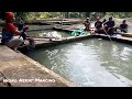 rahasi isi dalam air‼️Nekat Mancing kolam 4x4 harga 13 juta hanya 4 orang