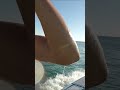 FAIL! Massive Waves Submerge Small Boat