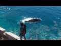Harpooning a Whale in Just Cause 3