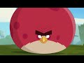 🔴 LIVE Angry Birds Party | Toons Season 3 All Episodes
