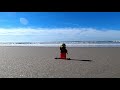 Geocaching with MiniDan in Atlantic City New Jersey Teaser (#beach #gcnw #geocaching)
