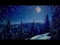 Winter Forest Ambiance with Wind Storm, Snow, Wolf Howl | Snowy Winter Night Ambiance | Sleep, Relax