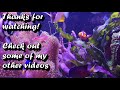 Aquarium Floating Plants DYING or GOING YELLOW? Here's 3 reasons WHY Floating Plants Don't Grow