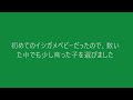 【亀飼育】念願のカメをお迎えしました！...何亀？