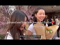 [kor/eng] Harvard vlog 하버드 브이로그 week in my life