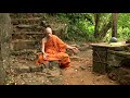 Ask A Monk: Experience of Reality