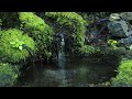 ASMR Water Sounds - Calm Spring Water | Water Sounds｜Relaxing Nature Sounds for Sleeping