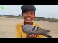 காட்டுப்புறா வேட்டை-7 🐦🐦 #pigeons #wildpigeon #pigeonhunters