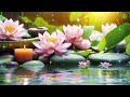 Morning Relaxing Music: Peaceful Music, Soothing Music, Deep Music, Spa Music, Stress Releif Music