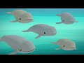Octonauts - Blobfish Brothers and The Beluga Whales | Cartoons for Kids | Underwater Sea Education