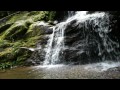 Hiking Shenandoah National Park - Rose River Falls & Dark Hallow Falls