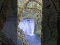 Trail of ten falls - Silver Falls Park - Oregon