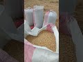 សកម្មភាពទៅស្រែនារដូវប្រាំងActivities to dry season rice