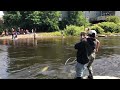 THE 2022 RUN Pulaski NY Salmon River Catch September 17 2022