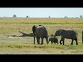 EPIC Shots Around AFRICA | Calming Ambience | 4K