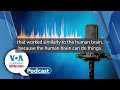 Learning English Podcast - Climate Meetings, Brain Biocomputer
