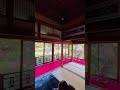 佐賀県唐津市厳木(きゅうらぎ)環境芸術の森の紅葉