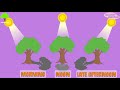 Light and Shadows | Types of Light | How are Shadows formed | Video for Kids