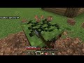 Minecraft - Preparing For Builds [6]