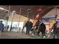 Panchari melam ettumanoor festival 2023