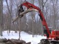 Mighty Machines In the Forest