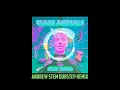 Glass Animals - Heat Waves (Dubstep Remix)