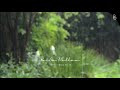 ☔Sentimental New Age Music for the Summer Rain Showers + Raindrops ASMR