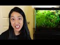 5 Things I Wish I Knew About Aquascaping