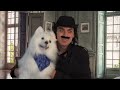 History of The Samoyed