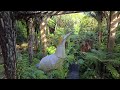 Auckland City Winter Gardens - New Zealand - This Place Is Beautiful