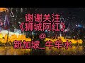 Vlog 103｜新加坡唐人街牛车水雨中赏花灯