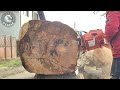 150 Incredibly Fastest Wood Cutter that Works on Another Level ▶3