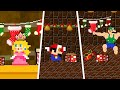 Mario Wonder! What if every Seed makes Mario became invisible!? | ADN MARIO GAME