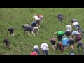 Cheese Rolling at Coopers Hill, Gloucestershire - 2015.