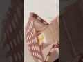 Pack a Gift with me || Packing Paper Gift || #diy #memes