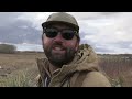 INSANE Dry Field Combo Hunt!! (Mallards, Pintails, Wigeon, Canadas, Snows, Specks)
