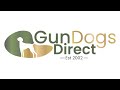 GunDogsDirect the best gun dog trading website in the UK