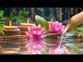 Music to Relax the Mind + Yoga, Sleep + Music for Meditation, Relaxing Sleep Music, Zen,Water Sounds