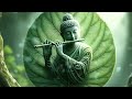 Forest Harmony | Buddha's Leaf Meditation