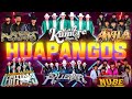 Huapangos Mix 2024 - La Kumbre Con K, Los Alamenos, Los Avila, Grupo Legitimo, Conjunto Nube