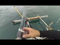 非假日獨木舟釣魚粉鳥林TW Hobie kayak fishing4.19.17(上)