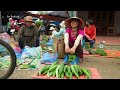 Harvesting A Lot Of Japanese Luffa Goes To Countryside Market Sell | Phương Free Bushcraft