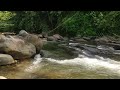 Soothing Forests Sounds, Babbling Brook / Birds Chirping /Forest Sounds / Reduces Stress